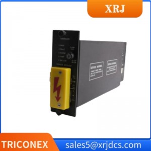 TRICONEX8302A power module in stock