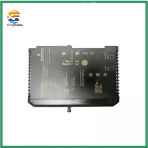 Emerson VE4003S2B31D1 module