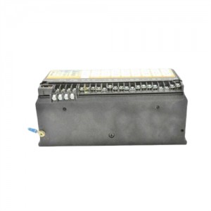 GE IC660BBS103 (2)